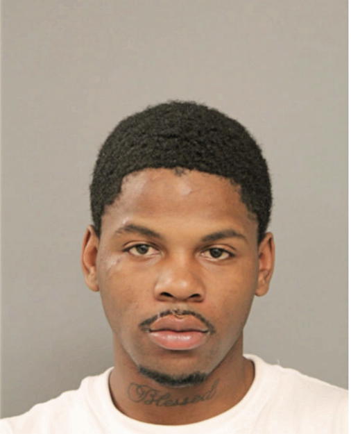 DION D YOUNG, Cook County, Illinois