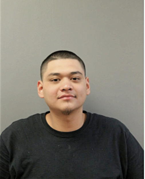 ANDRES BAHENA, Cook County, Illinois