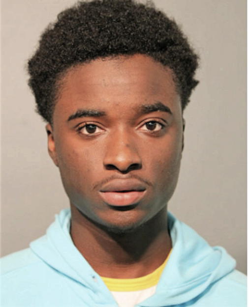 DERRICK L BROWN, Cook County, Illinois