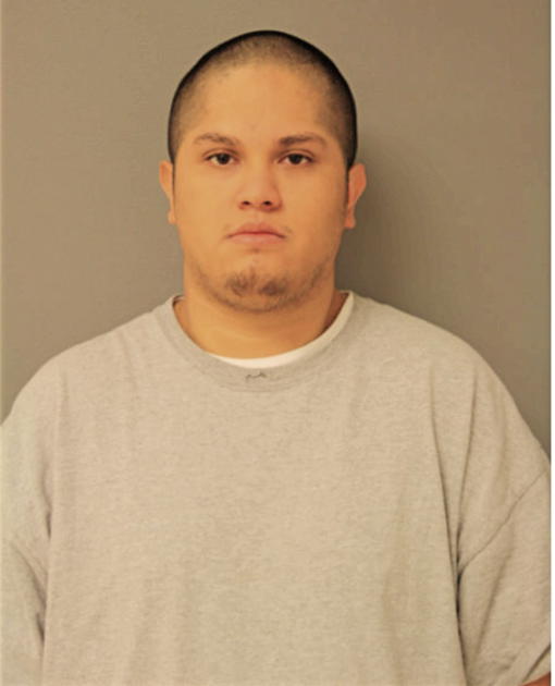 LUIS E CAMARGO, Cook County, Illinois