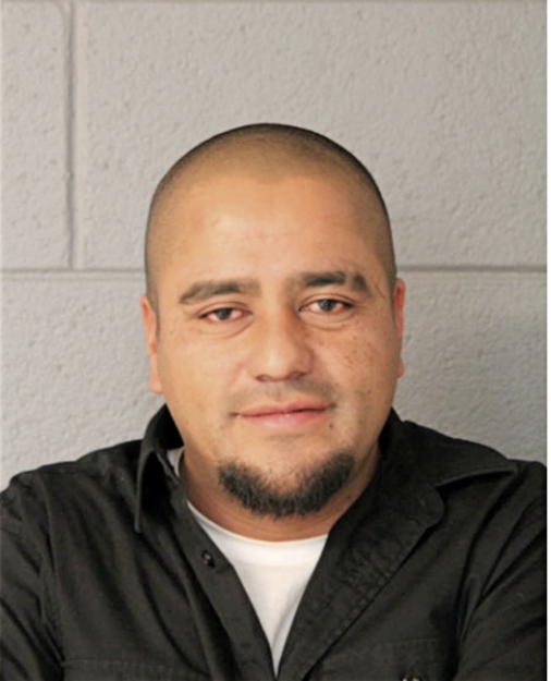 ROSENDO A CARRANZA-SAUCEDO, Cook County, Illinois
