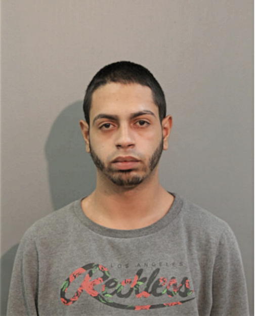 LUIS G COLON, Cook County, Illinois