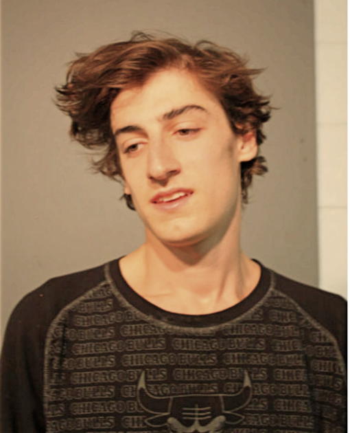 NICHOLAS T DIESCHBOURG, Cook County, Illinois