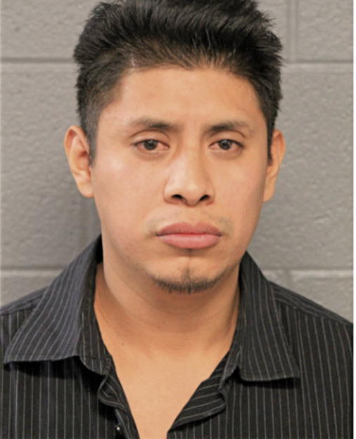 ALVARO DOMINGUEZ, Cook County, Illinois