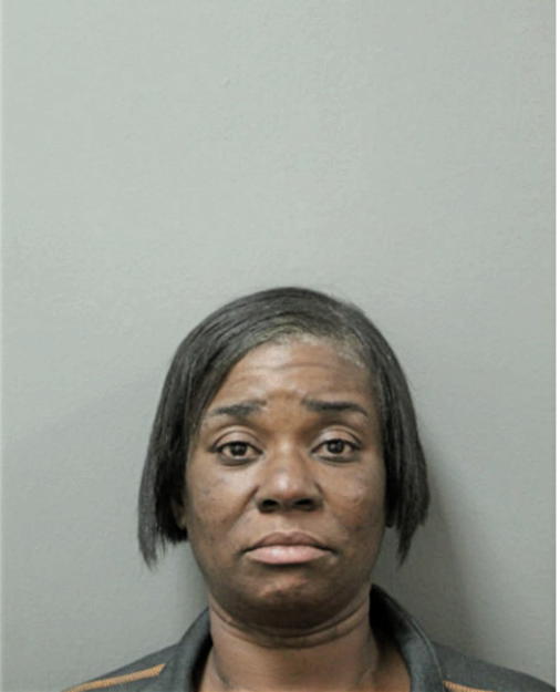 TAMIL V FERGUSON, Cook County, Illinois
