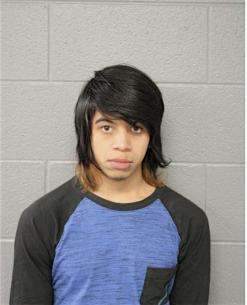 AMNER V FLORES, Cook County, Illinois