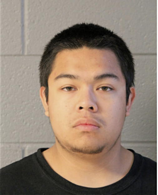 GUILLERMO A FLORES, Cook County, Illinois
