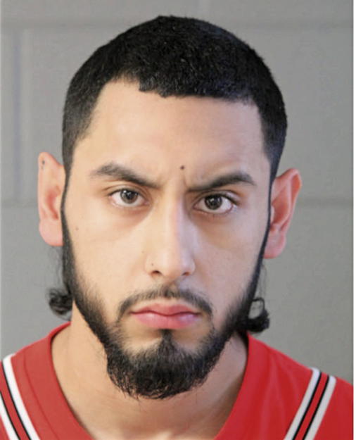 PEDRO D GARCIA, Cook County, Illinois