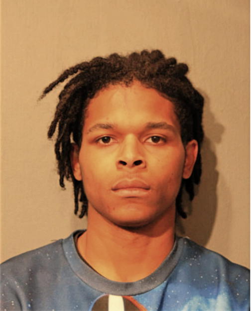 STEPHEN J GOLDSMITH, Cook County, Illinois