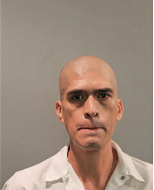 ILDEFONSO SALAS GOMEZ, Cook County, Illinois