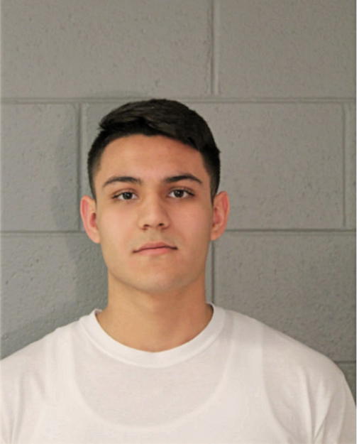 JOSE A GOMEZ, Cook County, Illinois