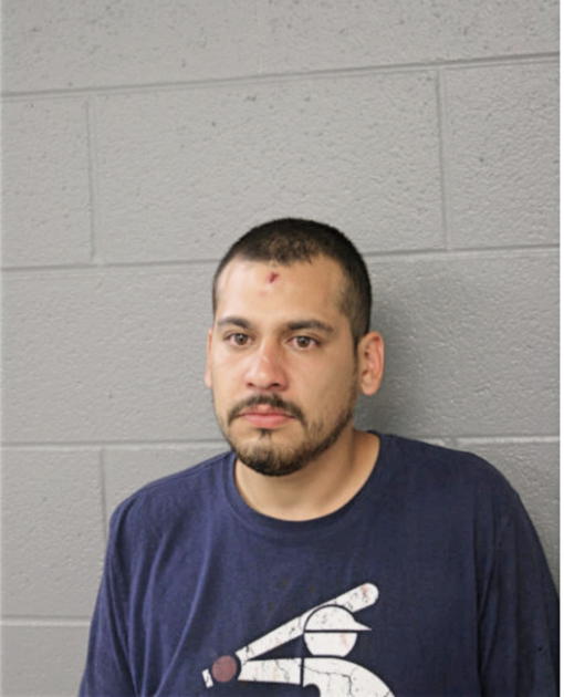 LUIS GONZALEZ, Cook County, Illinois