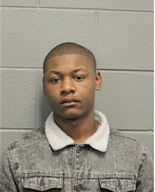 MARCEL P HUDSON, Cook County, Illinois