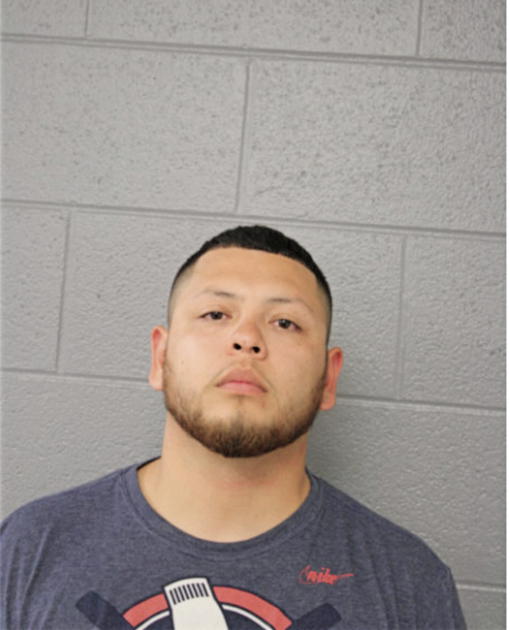 JOSE D JAIMES, Cook County, Illinois
