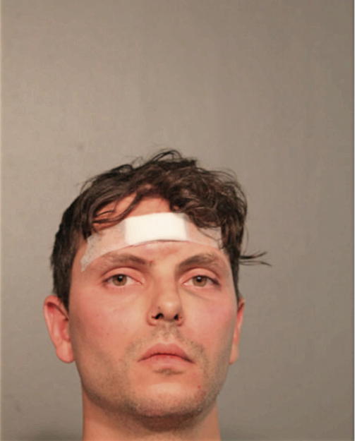 SCOTT M LOCONTI, Cook County, Illinois
