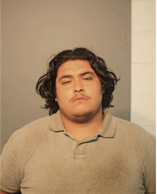 JONATHON M MARTINEZ, Cook County, Illinois