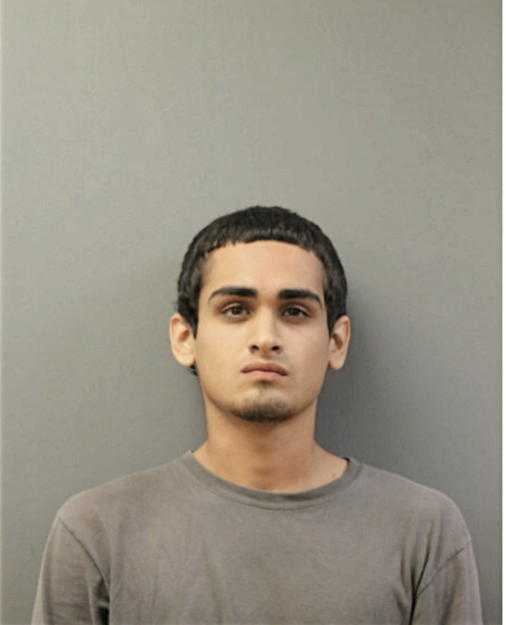 ANDRES MIRELES, Cook County, Illinois