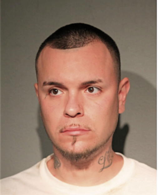 ANDREW PARAMO, Cook County, Illinois