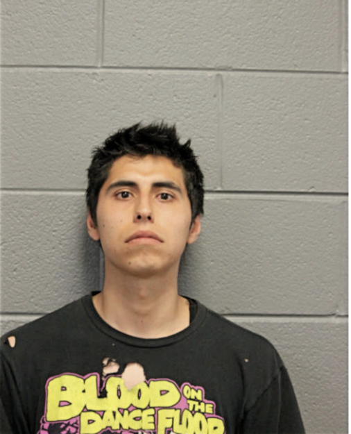 JUAN C PEREZ, Cook County, Illinois
