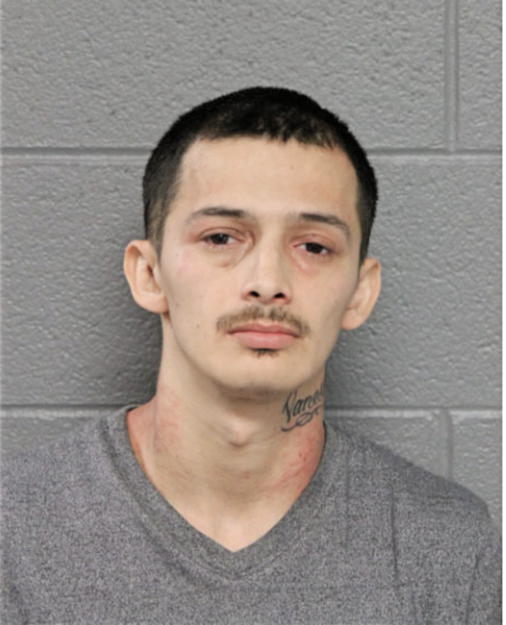 GUADALUPE R RODRIGUEZ, Cook County, Illinois