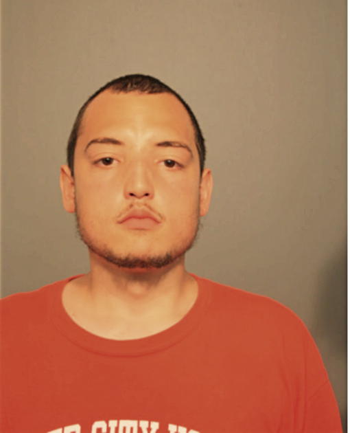 JOHN A SALDANA, Cook County, Illinois