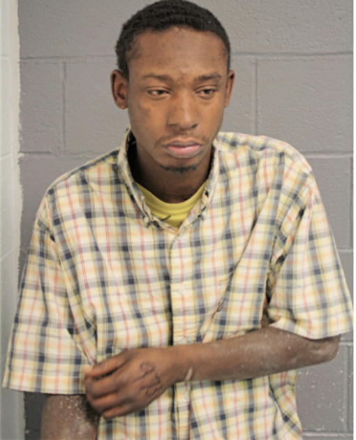 MARCUS M STIGGER, Cook County, Illinois
