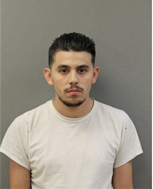 CHARLIE L TAN, Cook County, Illinois