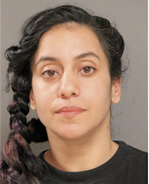 PRISCILLA A TORRES, Cook County, Illinois