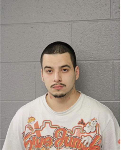 ROBERTO TORRES, Cook County, Illinois