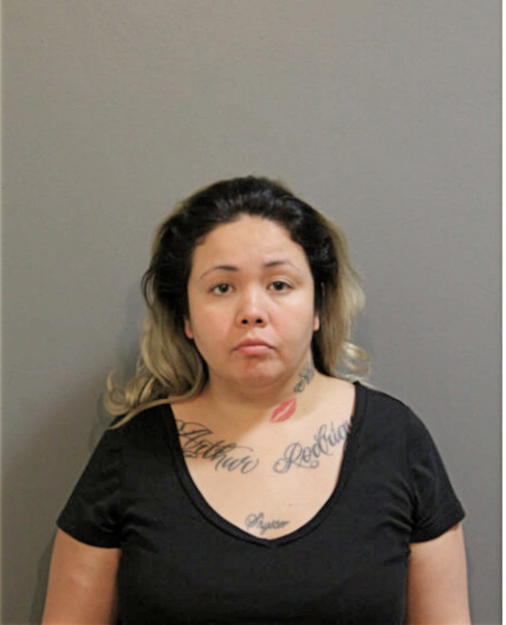 MONICA VIRGEN, Cook County, Illinois