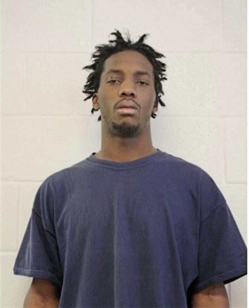 ROBERT A WATSON, Cook County, Illinois