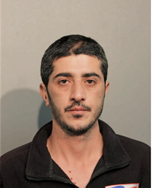 TEARY YOUNAN, Cook County, Illinois