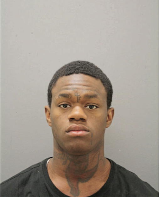 LORENZO L BROWN, Cook County, Illinois