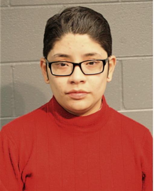 PATRICIA CASTILLO, Cook County, Illinois