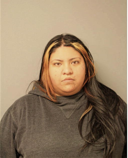 NOEMI E CERVANTES, Cook County, Illinois