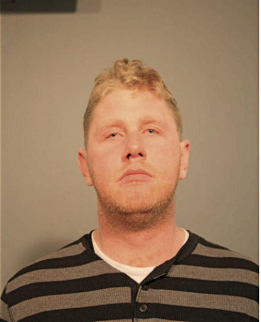 MICHAEL P COLLINS, Cook County, Illinois