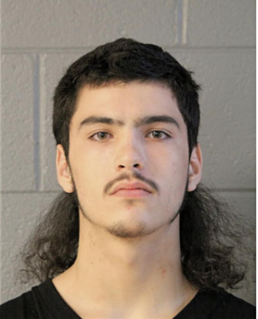 CARLOS GONZALEZ, Cook County, Illinois