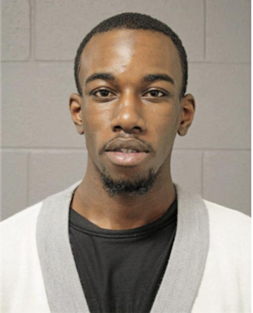 ASHTON D JOHNSON, Cook County, Illinois