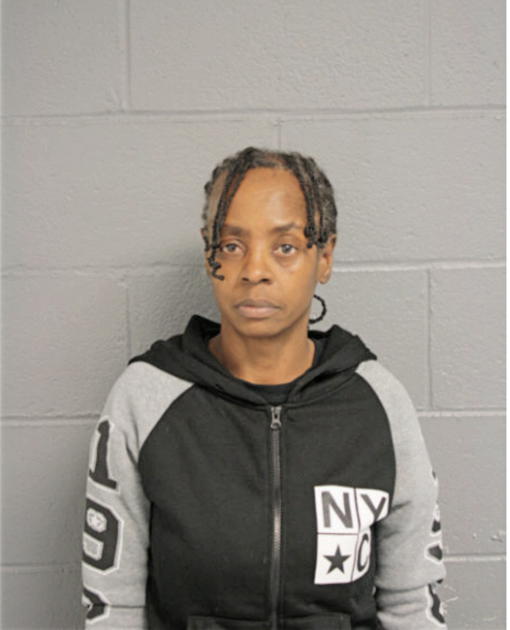 DEBRA A JOHNSON, Cook County, Illinois