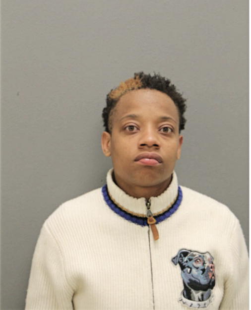 NAJAY D JOHNSON, Cook County, Illinois