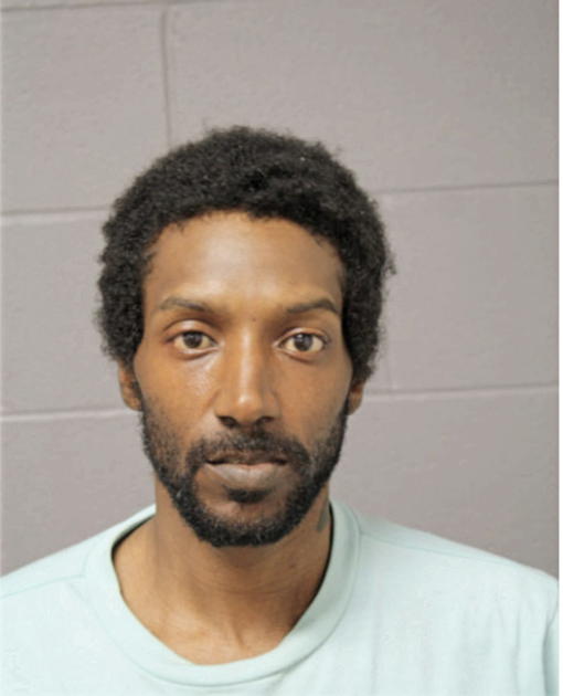 BRUCE D JONES, Cook County, Illinois