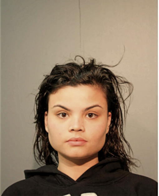 GIANNA M NAGAMINE, Cook County, Illinois