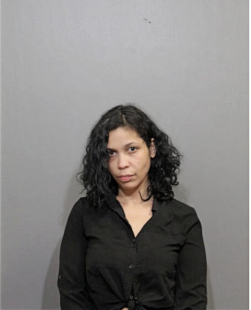 YASMIN A RAMIREZ, Cook County, Illinois