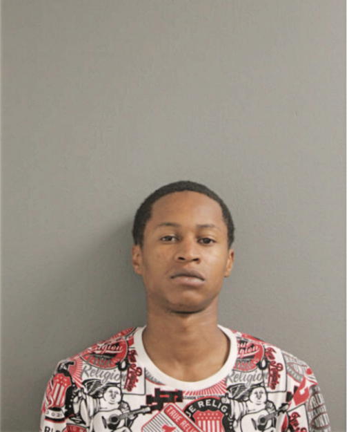 MICHAEL A REED, Cook County, Illinois