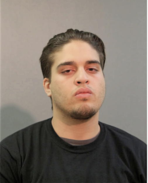 RYAN ROSARIO, Cook County, Illinois