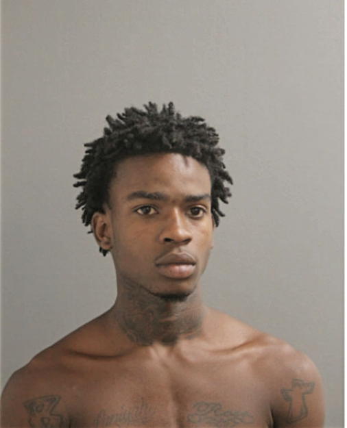ROMAINE D TURNER, Cook County, Illinois