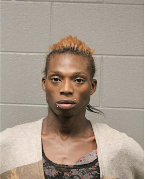 ALEX ADAMS, Cook County, Illinois