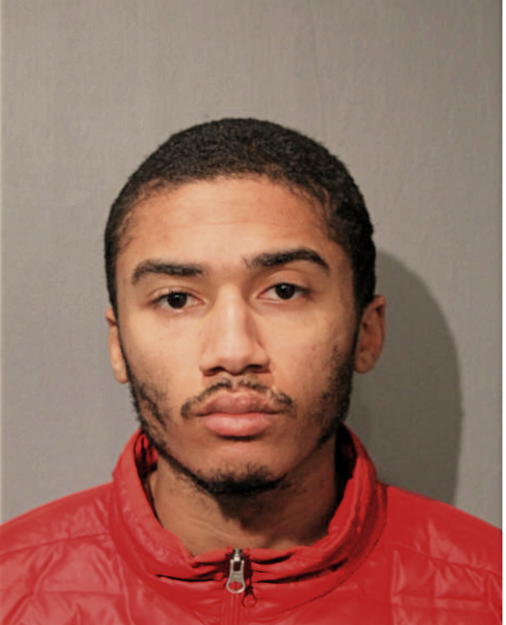 NICHOLAS ALEXANDER HANDY- AMBROSE, Cook County, Illinois