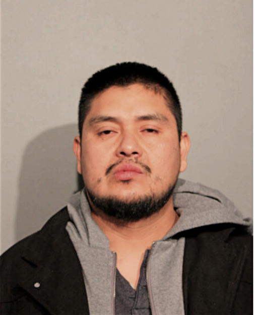RICARDO ALICANDRO-LUNA, Cook County, Illinois