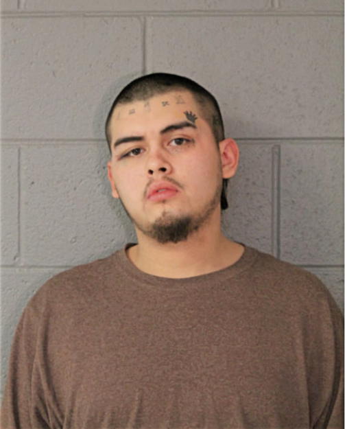 CHRISTIAN A ARREDONDO, Cook County, Illinois
